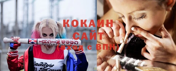 Альфа ПВП Инта