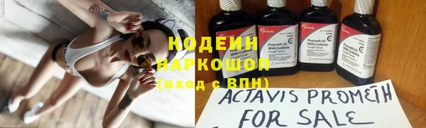 Альфа ПВП Инта