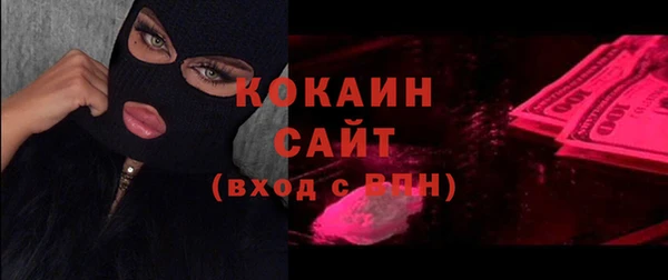 Альфа ПВП Инта