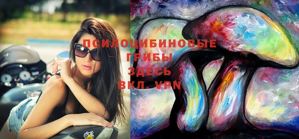 Альфа ПВП Инта