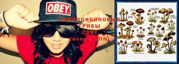 кристаллы Иннополис