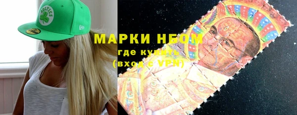 Альфа ПВП Инта