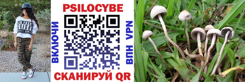 Псилоцибиновые грибы ЛСД  Купить где  Руза 